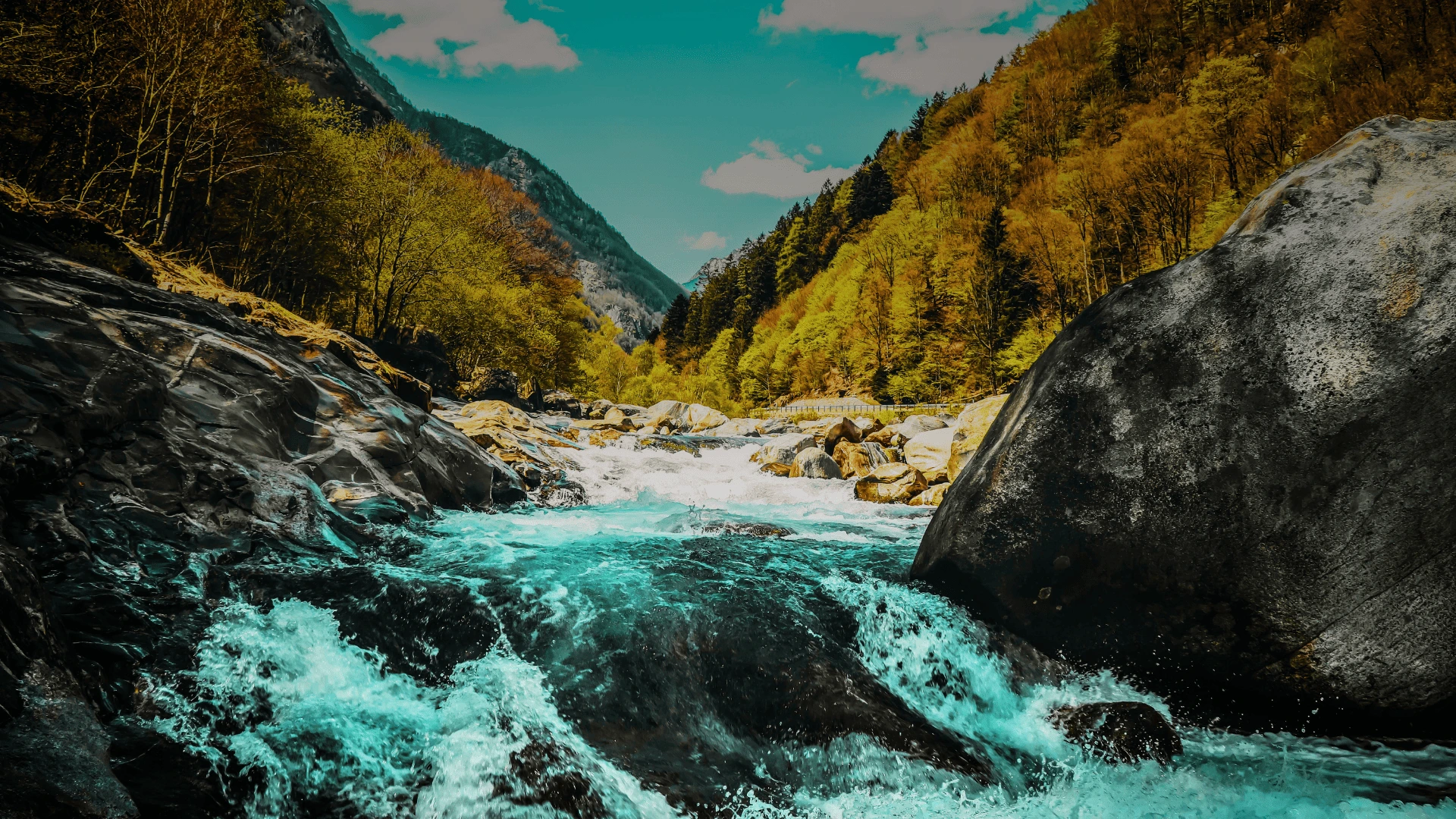 La Tua Vera Nutrizione